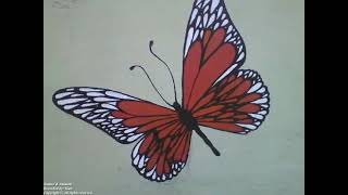 Beautiful red white and black butterfly drawn on the wall of the flower shop Nature amp Animals [upl. by Pillihpnhoj]