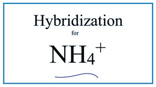 Hybridization for NH4 description of hybrid orbitals for Nitrogen [upl. by Trepur]