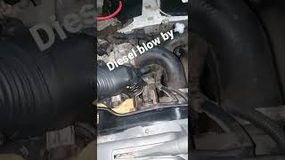 Excessive Diesel Blow By [upl. by Myles]