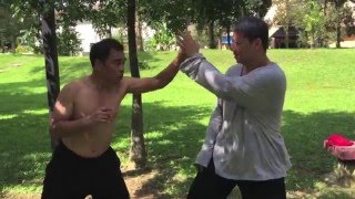 Tai chi secret movements  Taichi sparring elbow and striking [upl. by Cordi573]