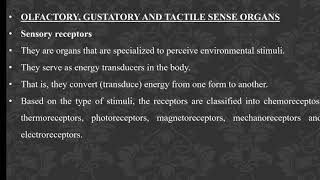 Sensory physiology 6  Other sense organs [upl. by Ainex563]