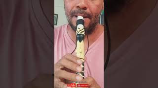 Homemade Clarinet Clarinete casero [upl. by Nevile]