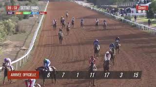 Live Hippodrome « SETTAT »  Courses du « 29112023 » [upl. by Flaherty]