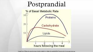 Postprandial [upl. by Amaral]