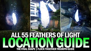 All 55 Feathers of Light in The Pale Heart  Complete Guide Flock Together Triumph Destiny 2 [upl. by Newol]