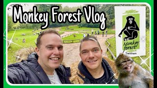 Monkey Forest Wedgwood Museum Vlog and Holiday Inn Stoke On Trent [upl. by Beshore]