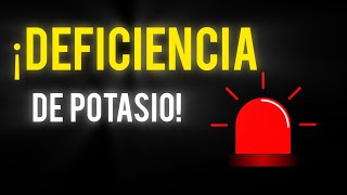 3 Síntomas de FALTA de POTASIO  Señales de DEFICIENCIA de POTASIO [upl. by Ap]