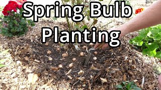 Planting Crocus And Fritillaria Bulbs With Spring Update And Time Lapse [upl. by Ailet]