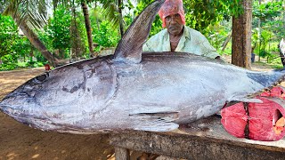 Wow Huge 200 Kg Bluefin Tuna In Village Fishmarket Live Cutting Skills [upl. by Shandy800]