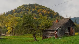 She Lives Alone in the Mountains — A Hidden Life in Stunning Isolation [upl. by Dnomhcir494]