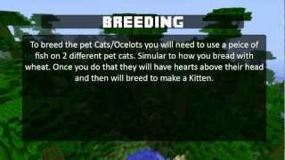 How to Tame Ocelots and get Cats and Baby Cats in Minecraft [upl. by Kinata932]