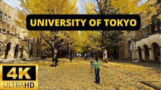 TOKYO JAPAN 🇯🇵 4K UNIVERSITY OF TOKYO — Autumn Walking Tour [upl. by Yorgen]