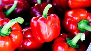 Bell Peppers 12 Amazing Health Benefits For Your Health  Health And Nutrition [upl. by Lustig]