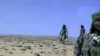 Tinariwen imidiwan Afrik tendam [upl. by Yssac]