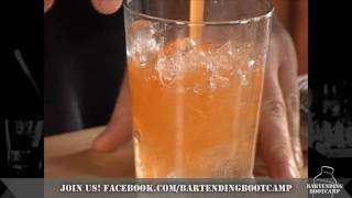 How to make a Peach Martini  Drink recipes from Bartending Bootcamp [upl. by Carole]