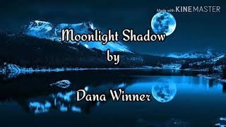 Moonlight Shadow by Dana Winnerwith lyrics [upl. by Dwan32]