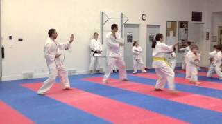 White Belt Testing Kata Heian Shodan  IKD Shotokan Karate 2013 [upl. by Inalial984]