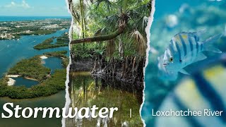 Stormwater and the Loxahatchee River [upl. by Inavihs]