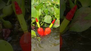 Float Fishing Trap shorts [upl. by Tija]