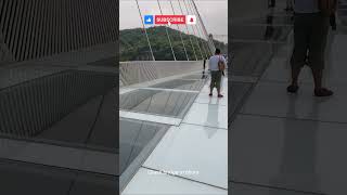 Glass bridge in china shortvideo tourist streetfood tranding [upl. by Atnamas]