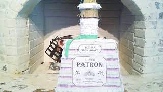 Tequila silver patron pinata party [upl. by Bausch530]