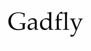 How to Pronounce Gadfly [upl. by Consolata665]