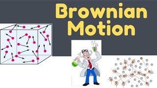 Brownian motion What is Brownian movement TNSCERT Class 9 [upl. by Martha]