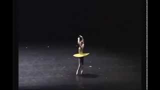 Evgenia Obraztsova The Vertiginous Thrill of Exactitude [upl. by Arahset]