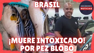 HOMBRE MUERE TRAS COCINAR Y COMER UN PEZ GLOBO EN ARACRUZ ESPIRITO SANTO BRASIL [upl. by Eleph372]