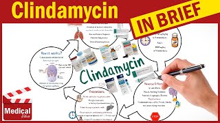 Clindamycin  Cleocin  What is Clindamycin Used For Dosage Side Effects amp Precautions [upl. by Timi226]