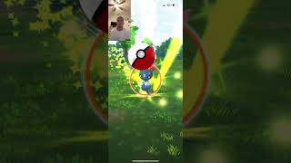 one captured of a Sneasel in Pokémon go [upl. by Scully]