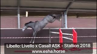 Libello Livello x Casall ASK [upl. by Stelu]