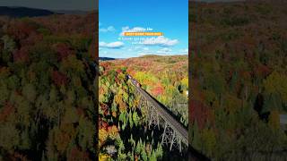 The Most Scenic Train Ride in 🇨🇦 The Agawa Canyon Train Tour 🚂ExploreCanada ontario [upl. by Scheider448]