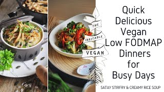 Quick Delicious Dinners for Busy Days  Vegan Low FODMAP Dinner Recipes [upl. by Antipas]