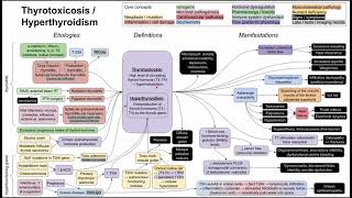 Hyperthyroidism  thyrotoxicosis mechanism of disease [upl. by Silvester]