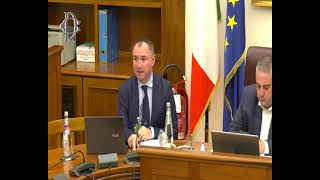 Roma  ​Audizione su programma di lavoro Commissione Ue 301024 [upl. by Lattie]