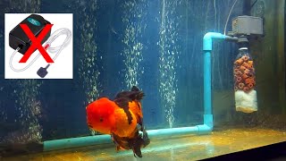 No AIR Pump  Make Aquarium Air Bubbles Without Air Pump  Aquarium Air Bubbles [upl. by Stuppy]