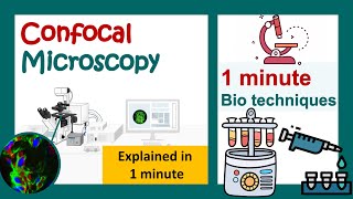 Confocal microscopy in 1 minute  principles of confocal microscopy  application of confocal [upl. by Sally]