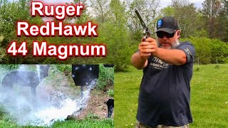 Ruger RedHawk 44 Magnum with a 75” Barrel  First Range Day [upl. by Ahsimrac]