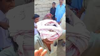 Sindhi Shadi Sehra Sindhi Shadi Lada Shadi Song [upl. by Anirad]