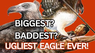 The giant Haasts eagle has competition [upl. by Annahs]