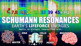 Schumann resonances basics biology amp bioelectricity [upl. by Joelle571]