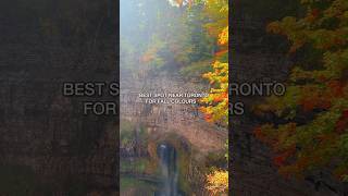 BEAUTIFUL FALL COLOURS AT DUNDAS PEAK 😍🍂 [upl. by Dorris]