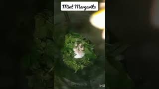 Mint Margarita  Ramzan refreshing drink [upl. by Favianus]