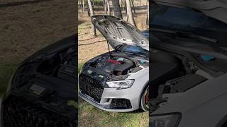 AUDI RS3 8V 🔥 audi podcast [upl. by Annazor]