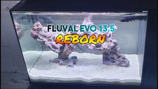 Fluval Evo 135 Reborn  The Set Up [upl. by Selena]