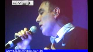 Shadmehr Aghili Concert Canada 2010 [upl. by Htes]