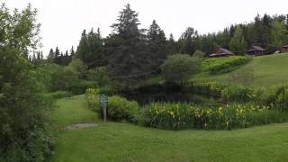 Cabins At Lopstick Pittsburg NH Through the eyes of a drone [upl. by Fidel]