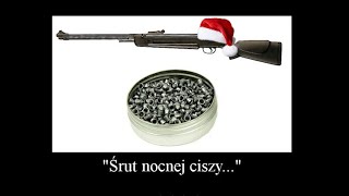 Śrut Nocnej Ciszymp4 [upl. by Domph432]