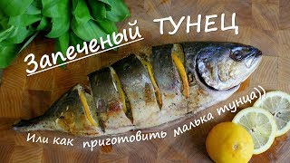 Как приготовить ТУНЕЦ  МАЛЕК ТУНЦА В ДУХОВКЕ [upl. by Eudo]